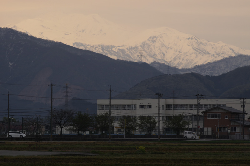 b0177233_16571194.jpg