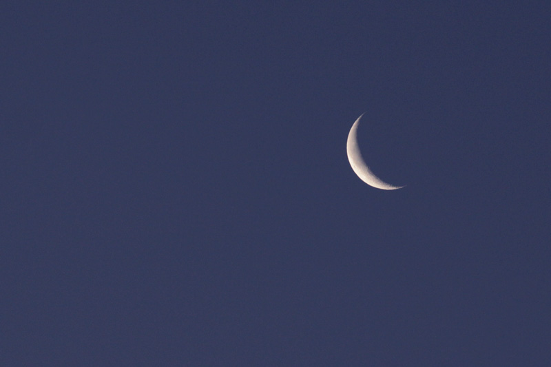 b0177233_5241696.jpg