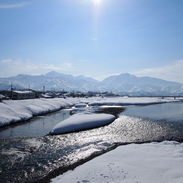 c0000134_141375.jpg