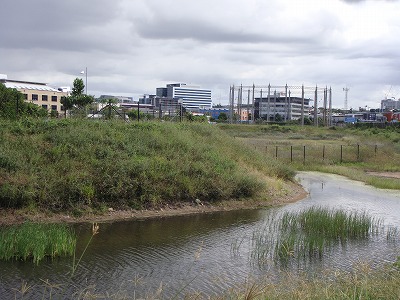 b0055835_23365855.jpg