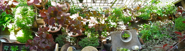 b0027736_17225219.jpg