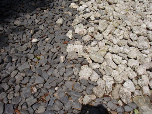 c0068636_0472414.jpg