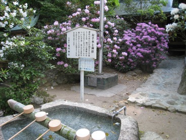 c0077338_6291910.jpg
