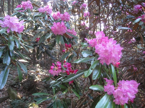 c0077338_6293328.jpg
