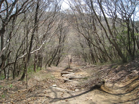 c0077338_6305026.jpg