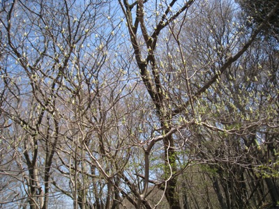c0077338_6314417.jpg