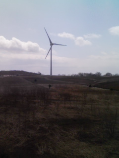 f0056038_12562179.jpg