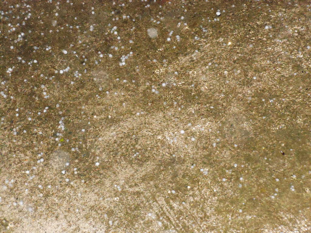 c0122744_12824100.jpg