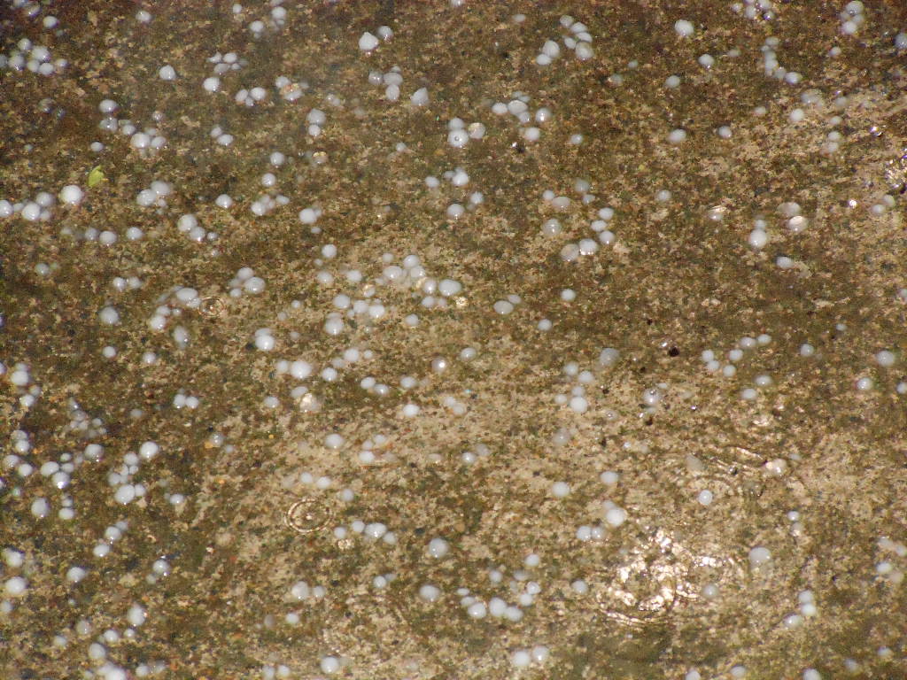 c0122744_1311218.jpg