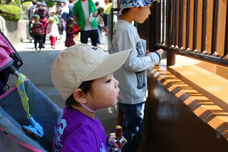 c0137145_42571.jpg