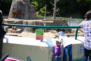 c0137145_46169.jpg