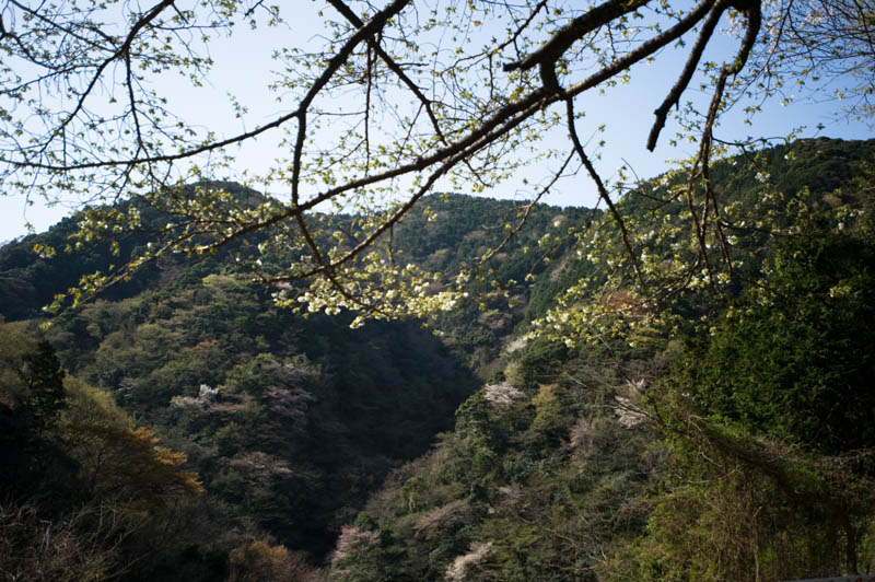 b0023047_5141984.jpg