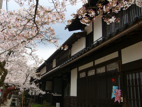b0174451_915951.jpg
