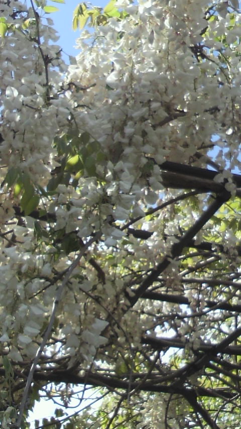 c0206352_23573242.jpg