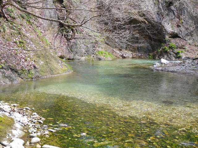 b0177355_164028100.jpg