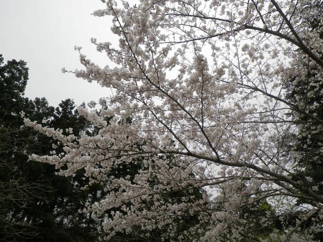 b0177355_16413553.jpg