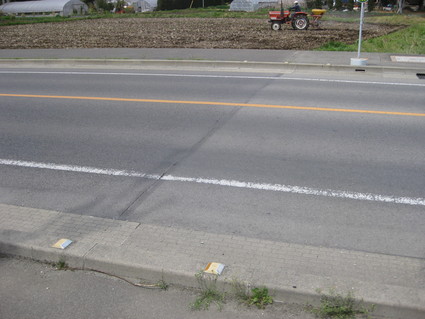 b0063162_049146.jpg