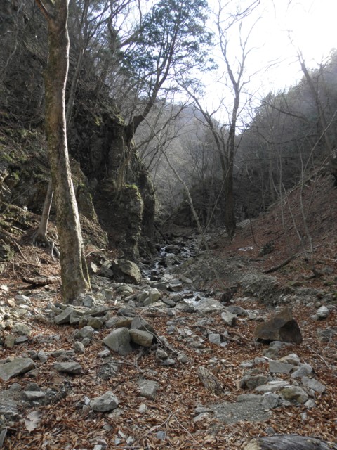 d0134473_1557647.jpg