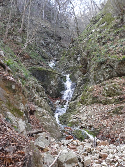 d0134473_1614168.jpg