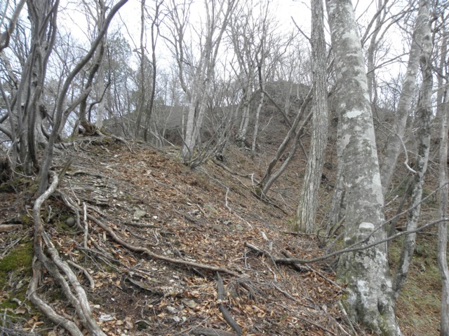 d0134473_1620214.jpg