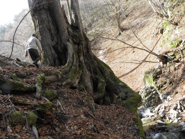 d0134473_1623829.jpg