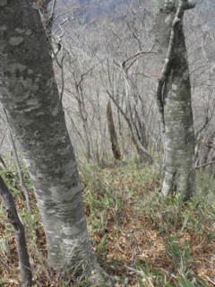 d0134473_16243141.jpg