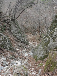 d0134473_16265766.jpg