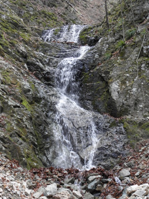d0134473_1645670.jpg