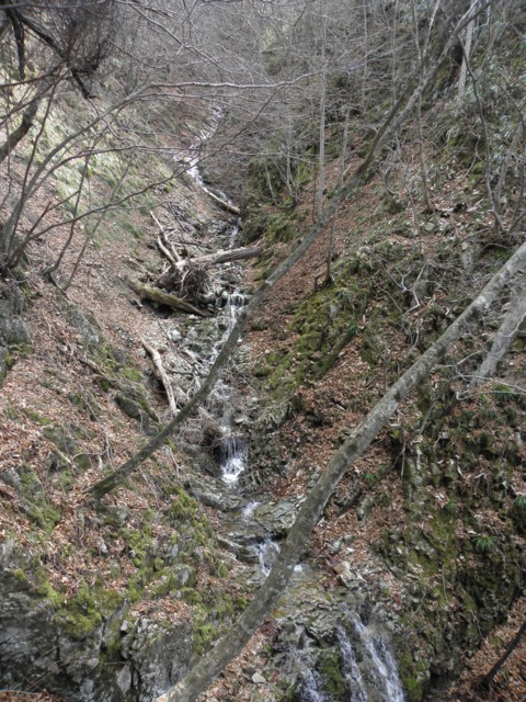 d0134473_166014.jpg