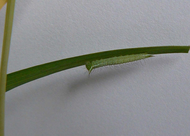 d0019074_731453.jpg