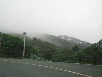 c0064389_19483653.jpg