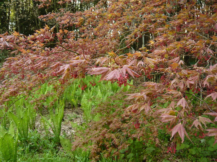 c0165589_1340193.jpg