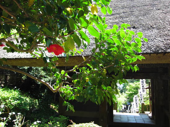 a0063390_1252382.jpg