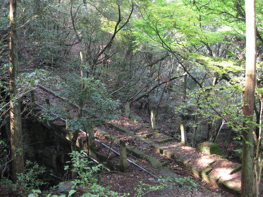 f0010195_23403246.jpg