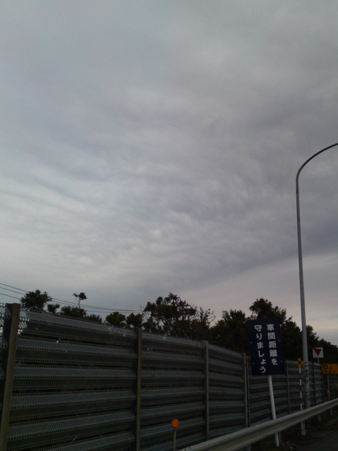 f0226095_8484021.jpg