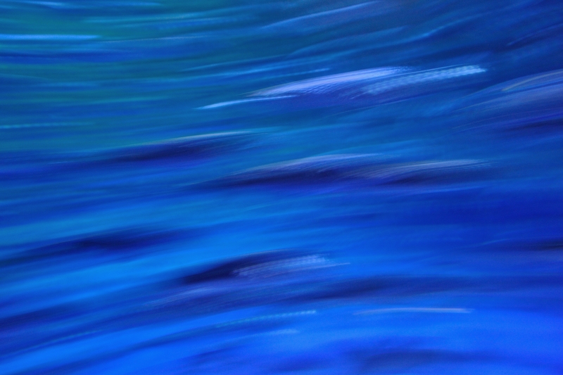 a0062697_2310246.jpg