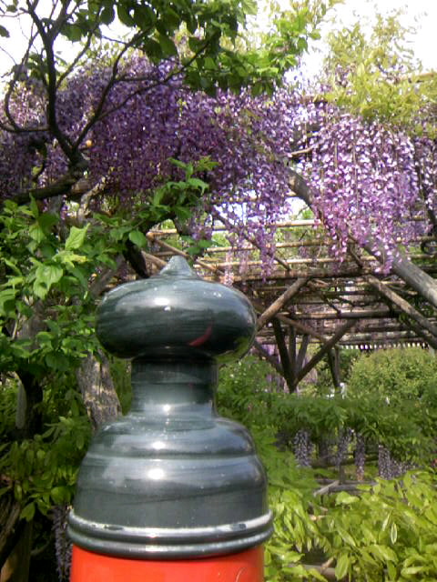 f0061797_23204186.jpg