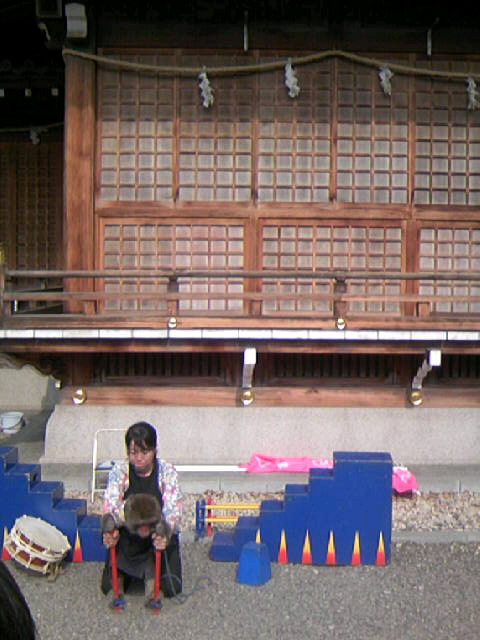 f0061797_2336541.jpg