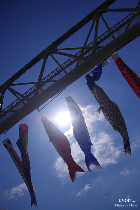 c0183700_8174449.jpg