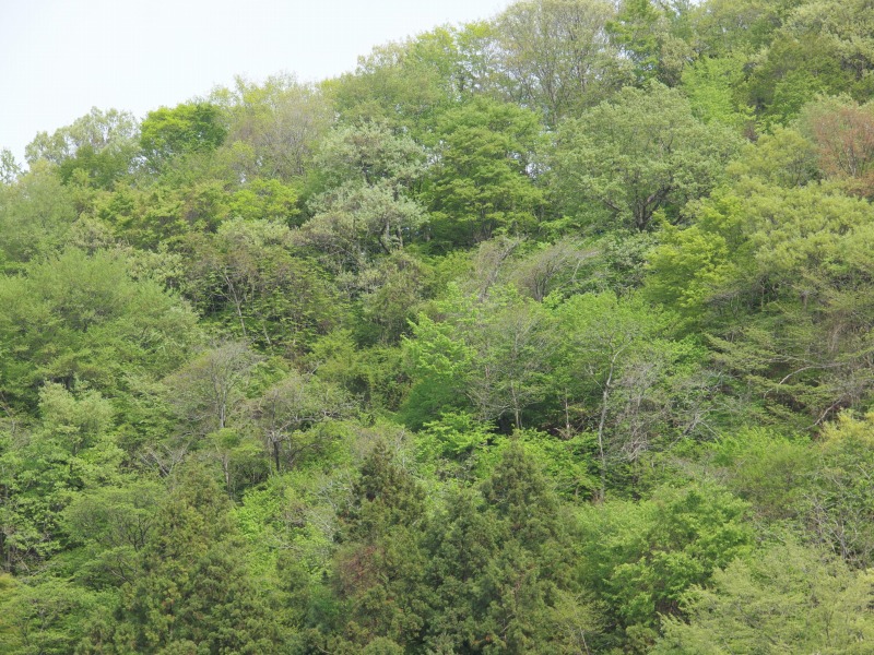 f0224100_8373528.jpg