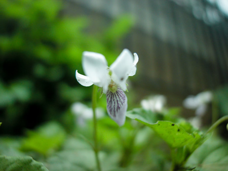 f0239100_2231391.jpg