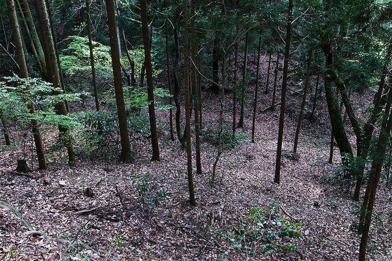 c0102003_9404459.jpg