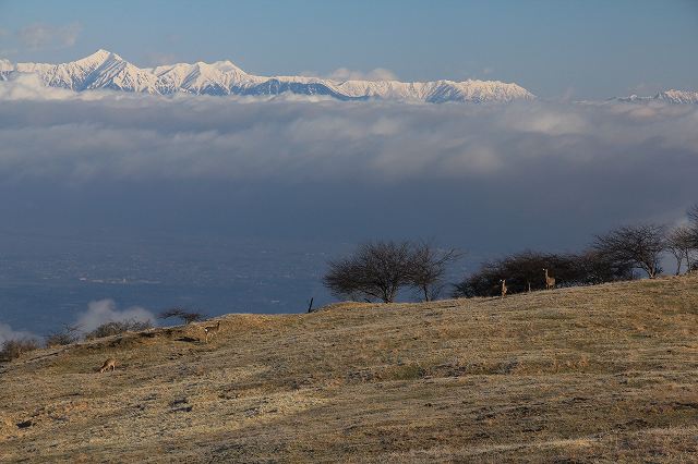 a0188405_111844.jpg