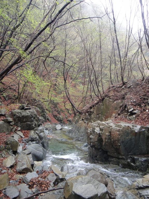 b0172805_2321223.jpg
