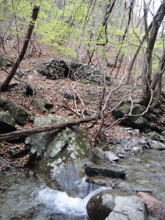 b0172805_23581151.jpg