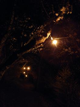 d0032405_23212967.jpg
