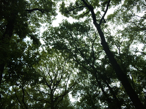 d0149306_22115370.jpg