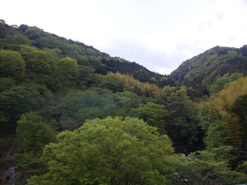d0149306_2282855.jpg