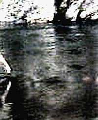 e0103408_12302662.jpg