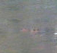 e0103408_12412488.jpg